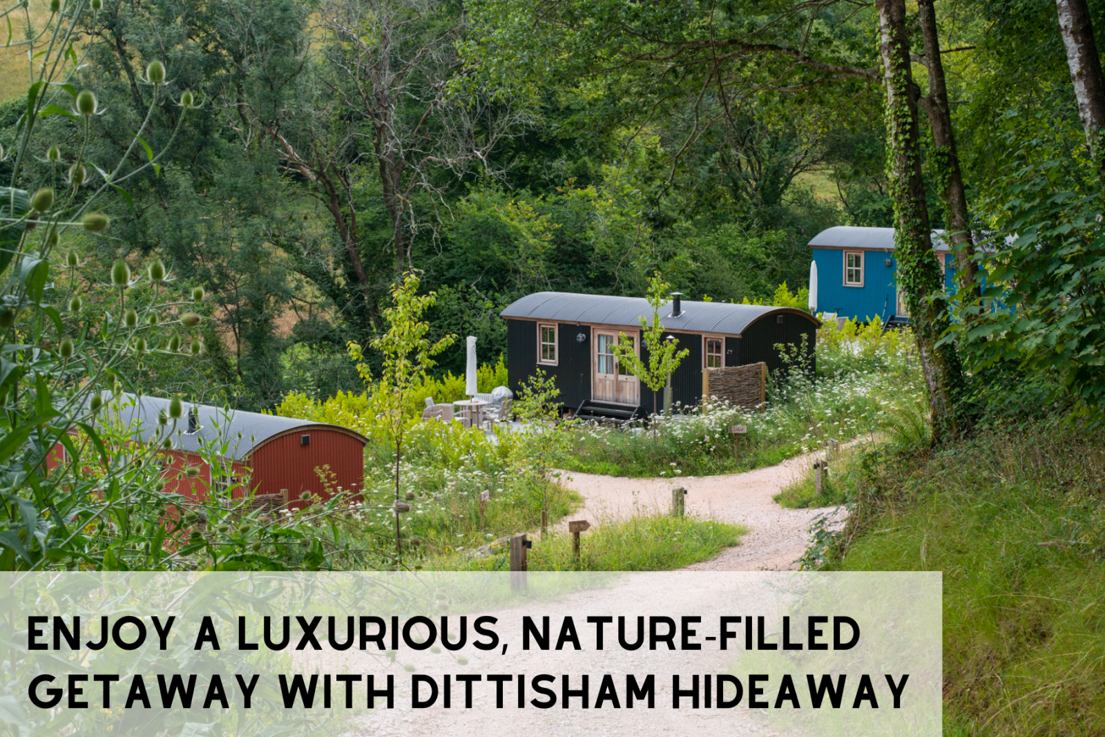 Dittisham Hideaway